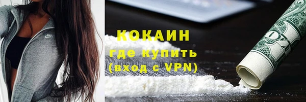 гидра Богородск