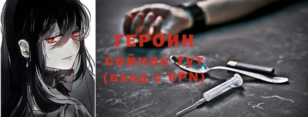 гидра Богородск