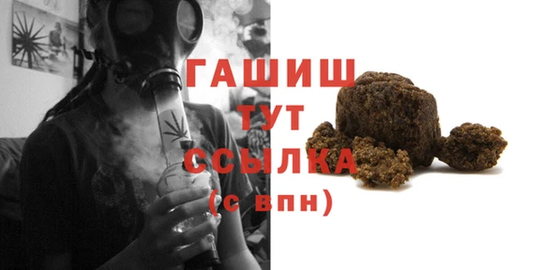 гидра Богородск