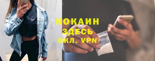 гидра Богородск