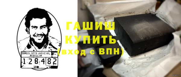 гидра Богородск