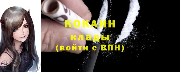 гидра Богородск