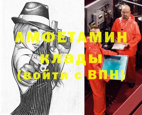 гидра Богородск