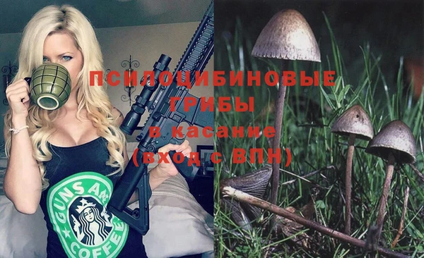 прущие крисы Богородицк