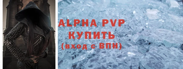 гидра Богородск