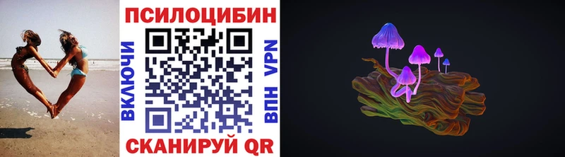 купить наркотик  Юрьев-Польский  Галлюциногенные грибы GOLDEN TEACHER 